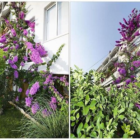 Apartments Ivan Makarska Exterior photo